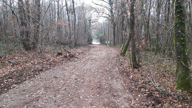 chemin débardage (3)