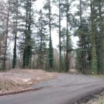 Place dépôt bois Laclyde (2)