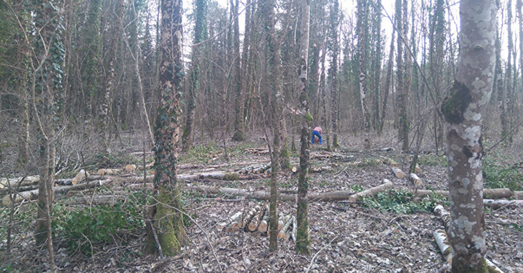 OLD : Obligation Légales de Débroussaillement