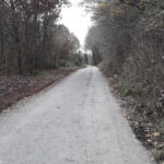 Piste empiérée (1)